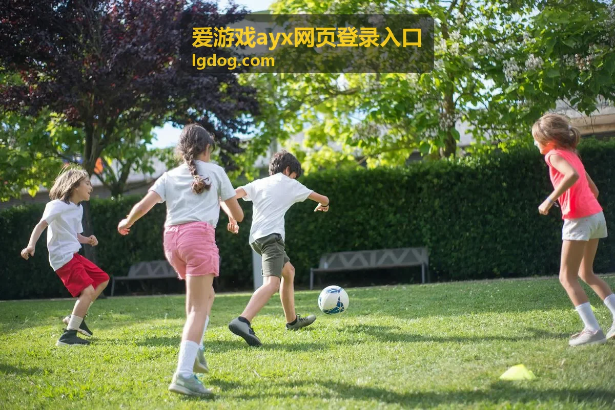 爱游戏ayx网页登录入口问题清单页面示意图