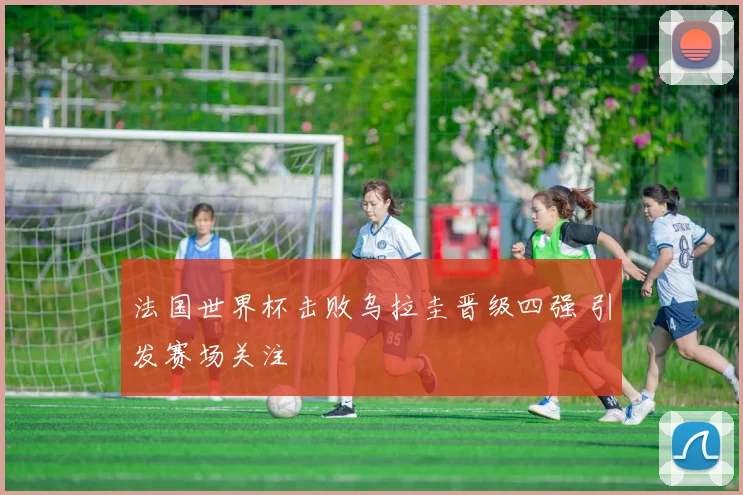 法国世界杯击败乌拉圭晋级四强 引发赛场关注