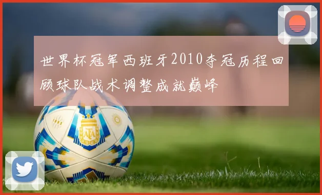 世界杯冠军西班牙2010夺冠历程回顾球队战术调整成就巅峰