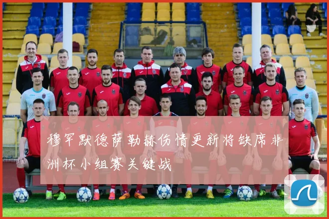 穆罕默德萨勒赫伤情更新将缺席非洲杯小组赛关键战