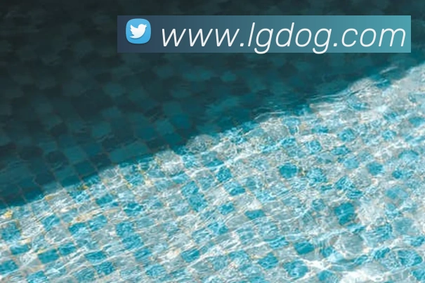 多媒体互动体验