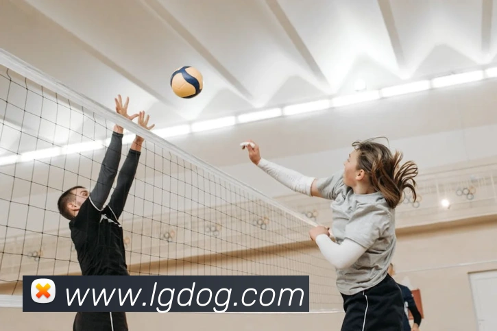 开云手机在线官网登录APP 高清赛事图