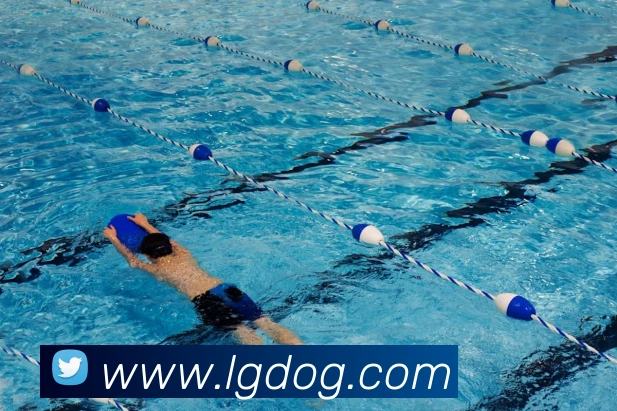 数据防护可视化